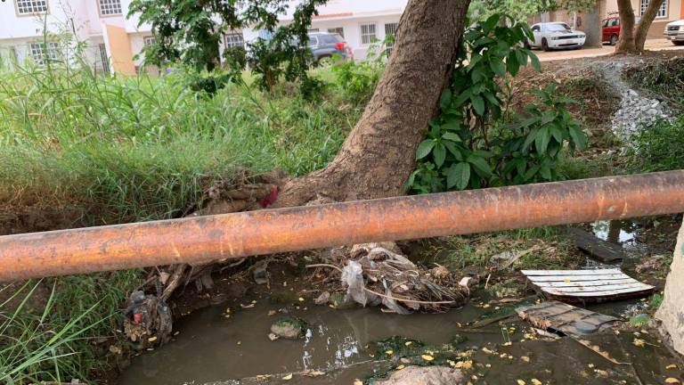 Las aguas negras terminan cayendo al arroyo Jabalines.