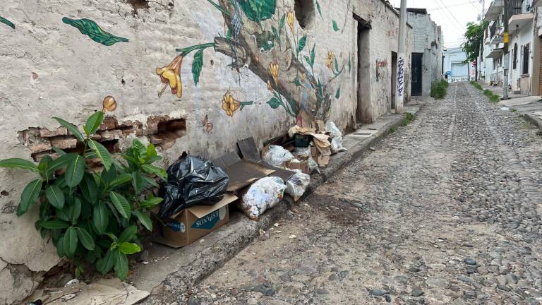 Bolsa acumulada en las calles por la falta del servicio de recolección.