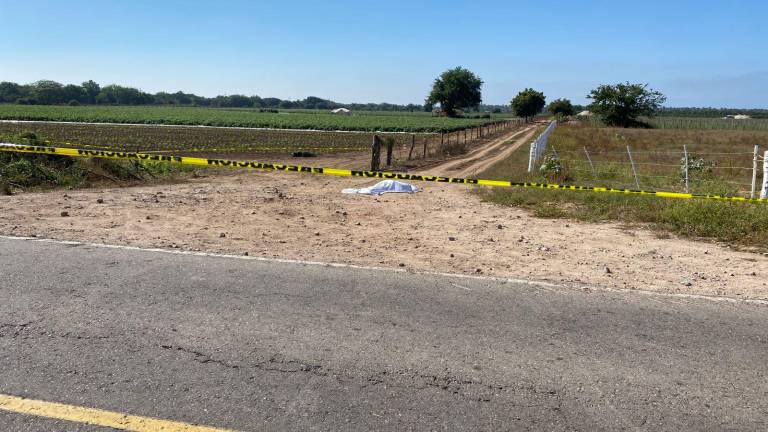 A un costado de la carretera Escuinapa-Teacapán fue encontrado asesinado Francisco Corona Betancourt, ex regidor.