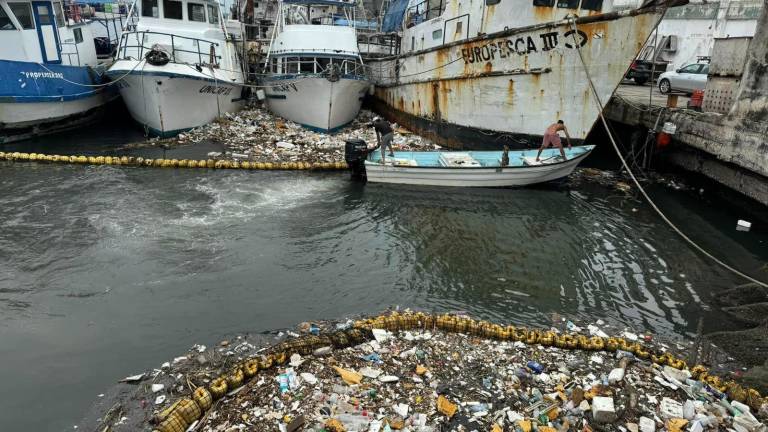 La biobarda instalada en el Puente Juárez, en Mazatlán, permitió retener 10 toneladas de residuos que iban hacia el mar.