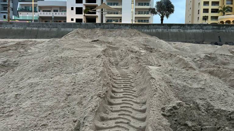 Sepultan a ballena que apareció muerta en playa de Mazatlán