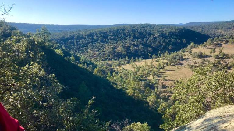 Sierra Madre Occidental, una opción para salir de la rutina y el calor