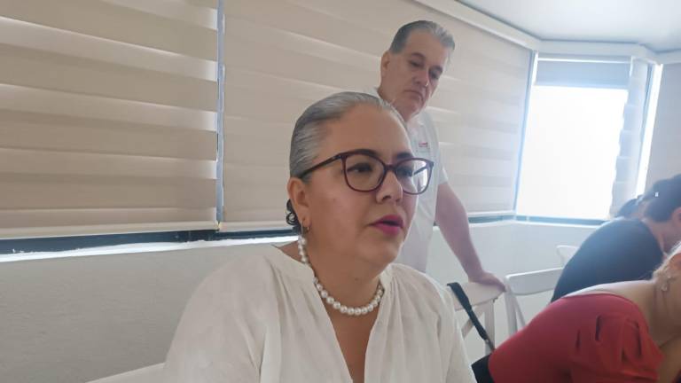 La diputada federal Graciela Domínguez da su visión de la Reforma al Poder Judicial.