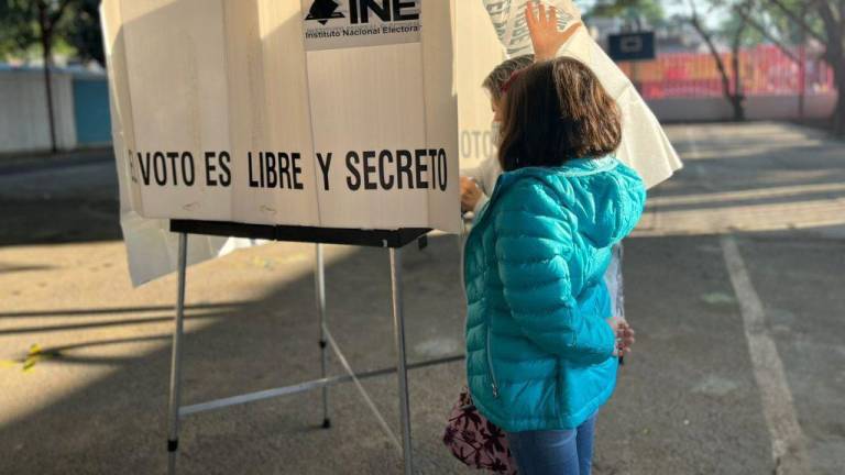 El consejero del INE insistió en que fue la ciudadanía la que contó los votos.