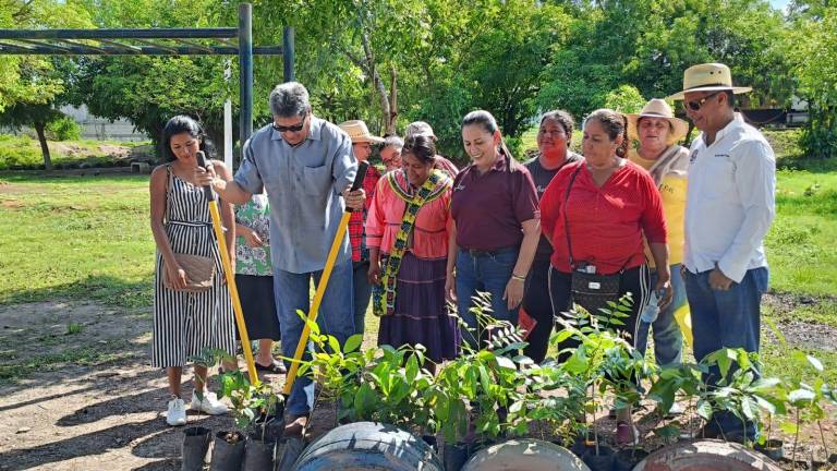 Autoridades municipales de Escuinapa e integrantes de la comunidad de Palmillas se unen a la siembra de árboles.