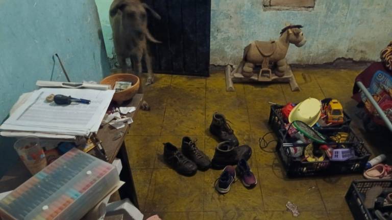 Tres viviendas entre el agua dejan lluvias en Escuinapa