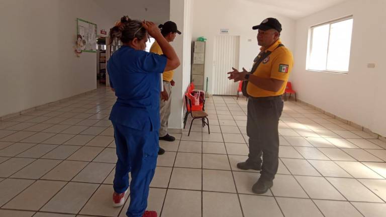 Alarma presencia de abejas en primaria y guardería en Escuinapa