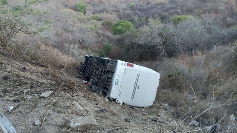 Cae a barranco autobús con equipo infantil de futbol; iba a Mazatlán