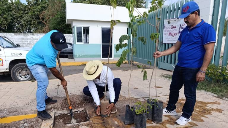 En total fueron 12 arboles plantados en el estacionamiento del Hospital General.