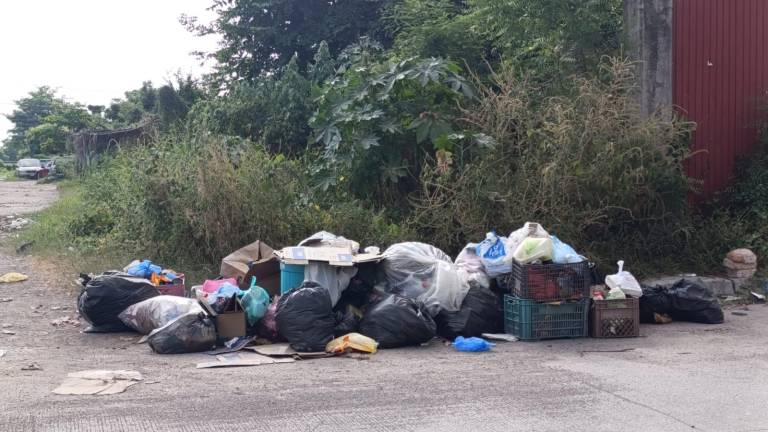 Urgen vecinos de la Zapata y Toledo Corro en Escuinapa que camión recoja basura de las calles