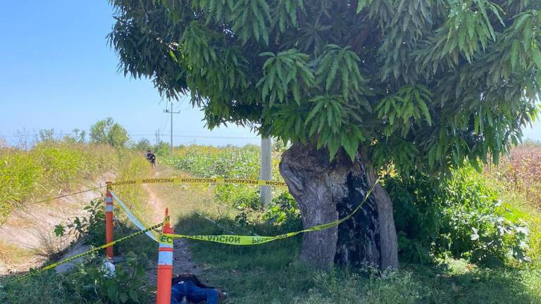 Un hombre falleció electrocutado después de subir a un árbol a cortar mangos.