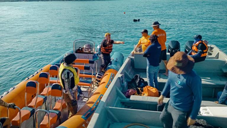 Realizan curso de ‘desenmallamiento de grandes ballenas’ en Mazatlán