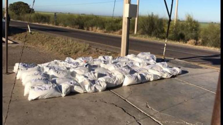 El posible fentanilo asegurado y el conductor del tractocamión fueron puestos a disposición de las autoridades.