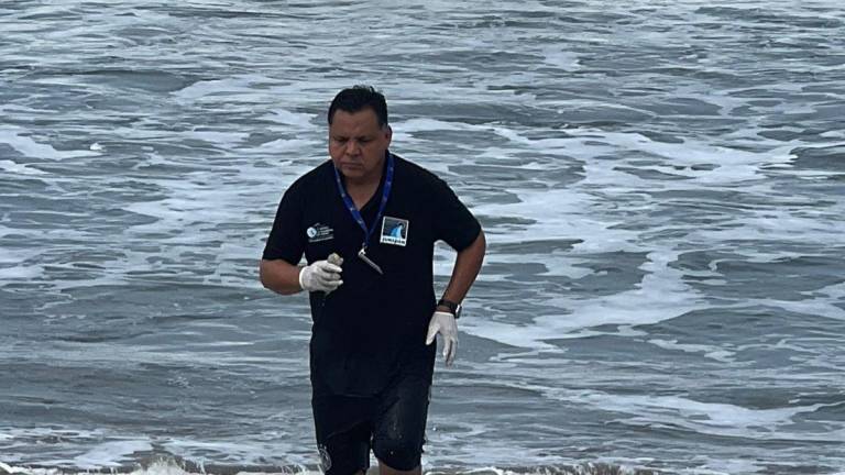 Se suma JUMAPAM a la revisión de la calidad del agua en la playa de Olas Altas