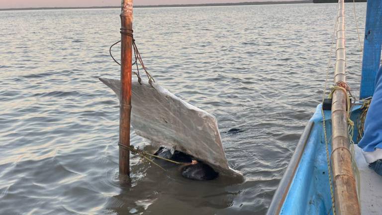 Dejan cadáver flotando en bahía de Las Puentes, Navolato, junto a mensaje forrado