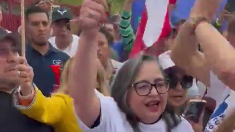 Norma Piña Hernández se unió a los trabajadores del Poder Judicial de la Federación en su protesta frente al Palacio Legislativo de San Lázaro.