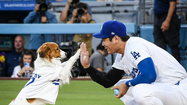 Perro de Ohtani lanza la primera bola en juego de Dodgers (VIDEO)