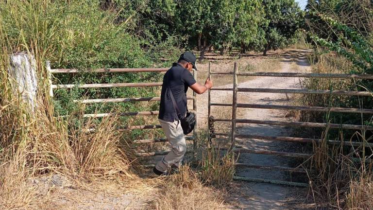 Protección Civil de Escuinapa encierra ganado para evitar accidentes carreteros