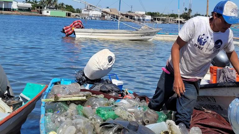 Recolectan 2.5 toneladas de plástico y artes de pesca en la bahía Santa María, en Angostura