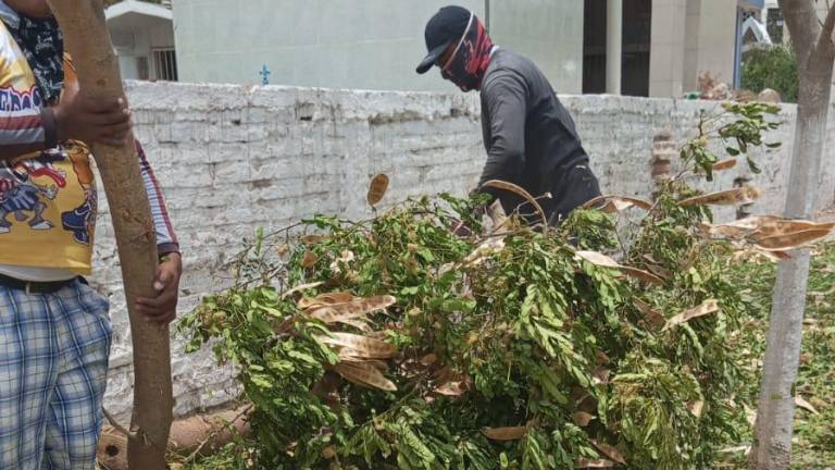 Obras Públicas ya se encuentra realizando labores de limpieza.