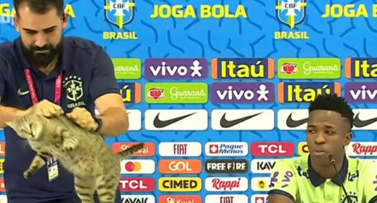 Momento en que el jefe de prensa de la selección brasileña agarra al gato.