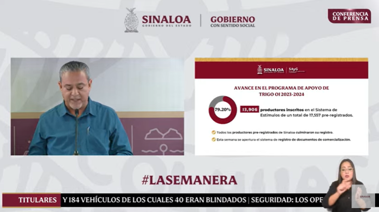 Esta semana inician los pagos de compensación para el trigo, informa Secretaría de Agricultura