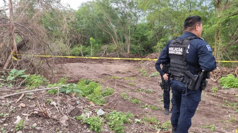 Los trabajadores de la obra localizaron los restos cuando desmontaron una retroexcavadora.