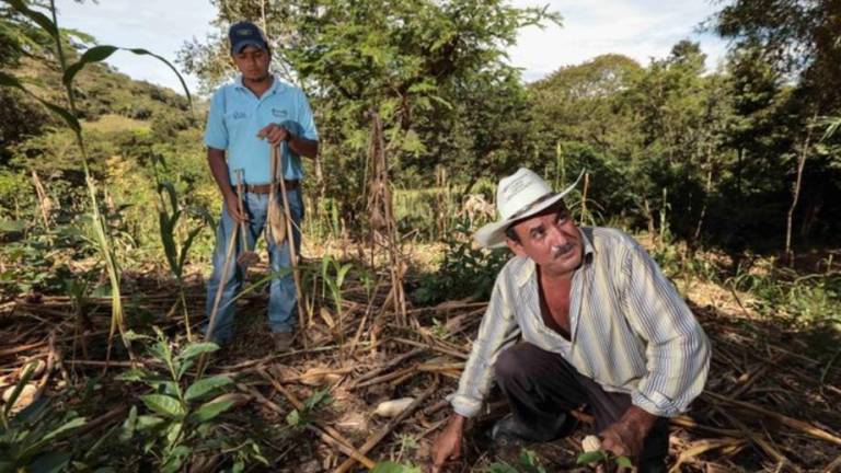 Resalta Sader la importancia de los suelos en la producción de alimentos saludables