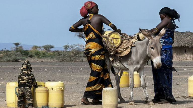 Revela ONU que mujeres sufren de forma desproporcionada los estragos de la sequía