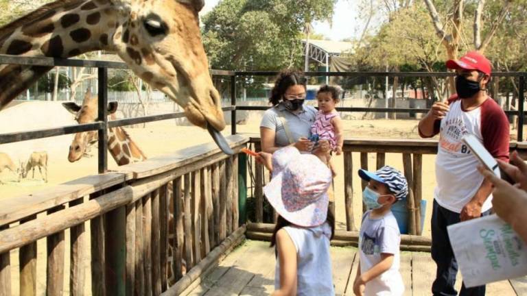 Reúne Zoológico de Culiacán a familias durante estas vacaciones de verano