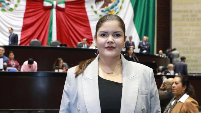 La Diputada federal por Morena, Merary Villegas, presentó en la Cámara de Diputados un punto de acuerdo para atender al comercio y la economía de Sinaloa.