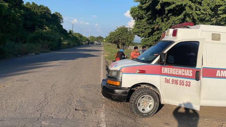 Muere adulto mayor por picaduras de abeja al sur de Mazatlán