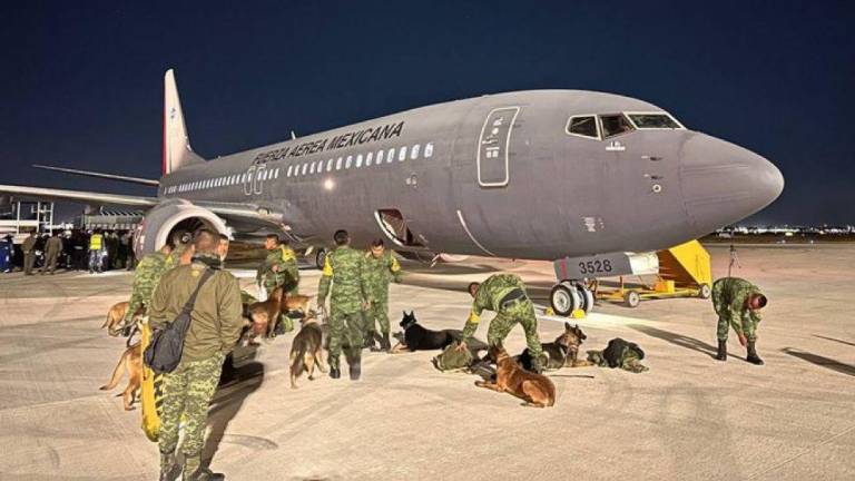 La ayuda humanitaria de parte de México partió la madrugada de este martes con rumbo a Turquía.