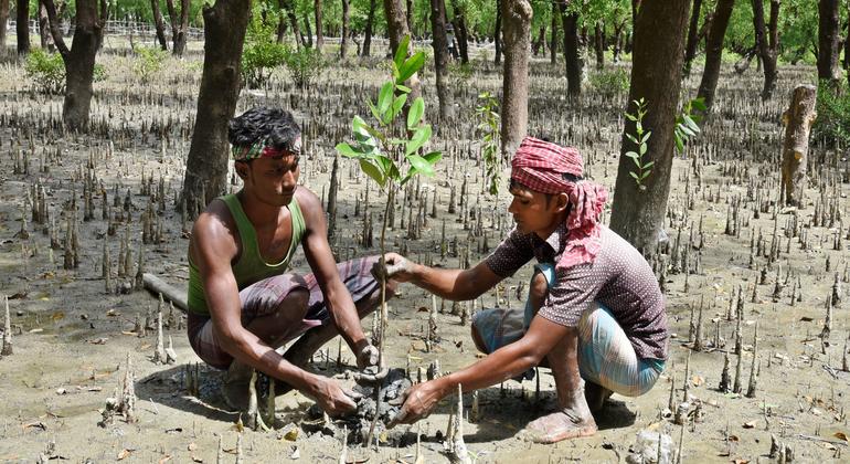 $!Un tercio de la población mundial sufre el impacto de la desertificación