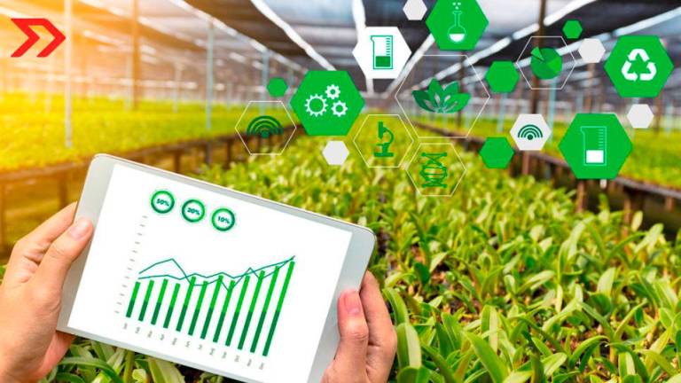 Innovación tecnológica: clave para el campo