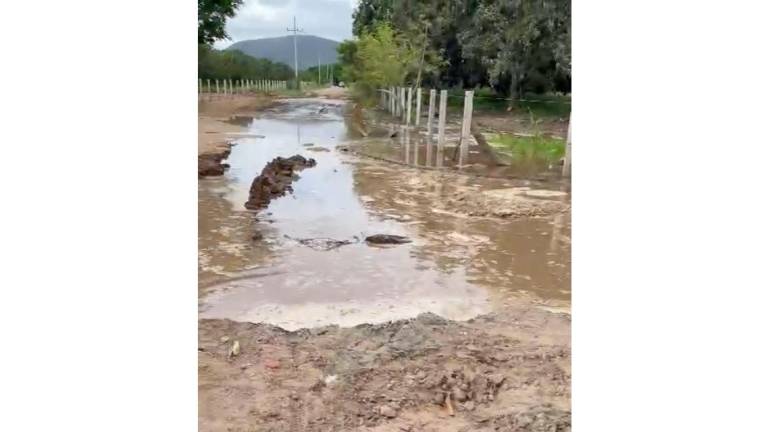 Las obras de construcción de los canales de riego de la Presa Santa María dejan sin agua a Escuinapa.