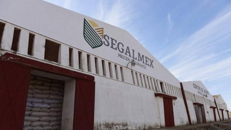 Caso de corrupción en Segalmex: Gobierno reconoce daño patrimonial de $2,700 millones; hay 26 personas vinculadas a proceso