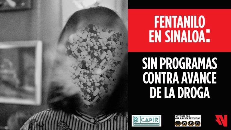 Fentanilo en Sinaloa: sin programas contra avance de la droga