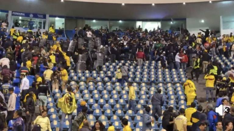 Un grupo de aficionados arrancó butacas del estadio.