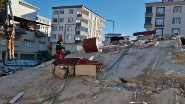 Rescatistas y perros entrenados siguen en busca de sobrevivientes entre los escombros de edificios que cayeron tras los terremotos.