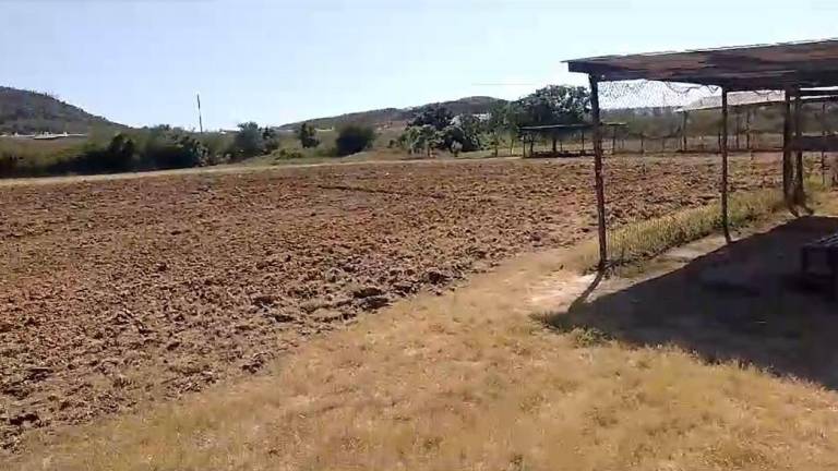 En videos se puede observar cómo una máquina trabaja en los campos deportivos conocidos como “Club Juárez”.