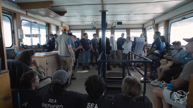 La formación a este grupo de jóvenes de la comunidad de San Felipe los convierte en los próximos expertos observadores de vaquita marina