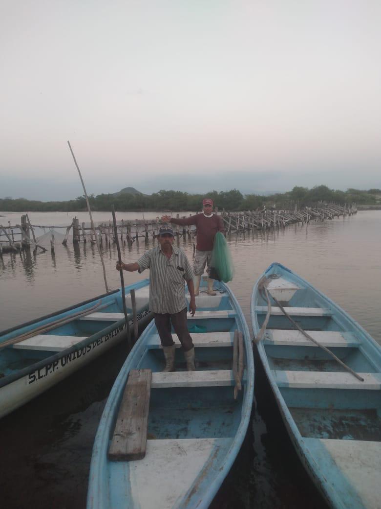 $!‘Hay embarcaciones que salen con tres o cuatro camarones’: Pescadores de Chametla