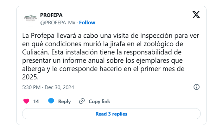 Profepa informó que el parque de animales tiene la responsabilidad de presentar su informe anual sobre los animales con los que cuenta.