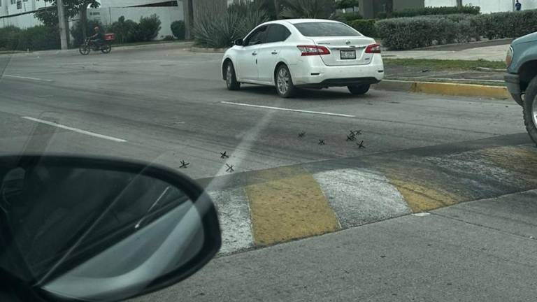 Los ponchallantas fueron arrojados exactamente en un tope a la altura de la entrada de un complejo de privadas.