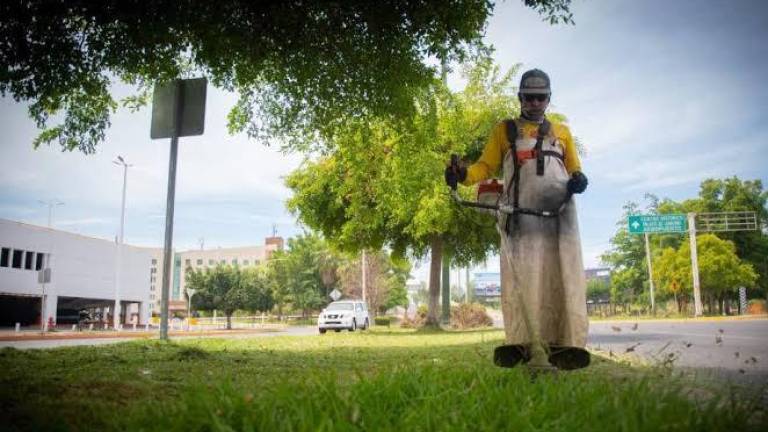 Expertos señalan que es urgente que a corto plazo se profesionalicen las direcciones de Parques y Jardines en los ayuntamientos.