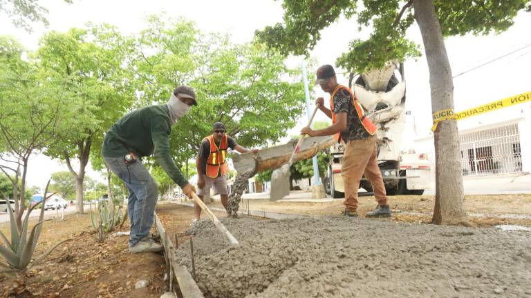 Lleva rehabilitación de Avenida Venados un 35% de avance: Alcalde