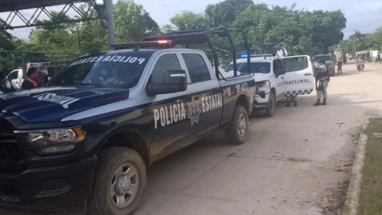 Los restos estaban en un terreno del municipio de Hueyapan de Ocampo, en el estado de Veracruz.