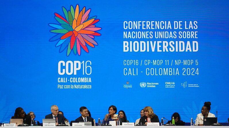 $!Comienzo de los trabajos de la COP16: