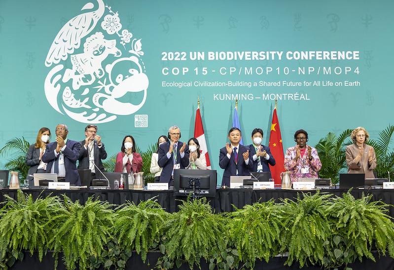 $!COP15 de Biodiversidad en la que se adoptó el Marco Mundial Kunming-Montreal de la Diversidad Biológica (GBF, por sus siglas en inglés).